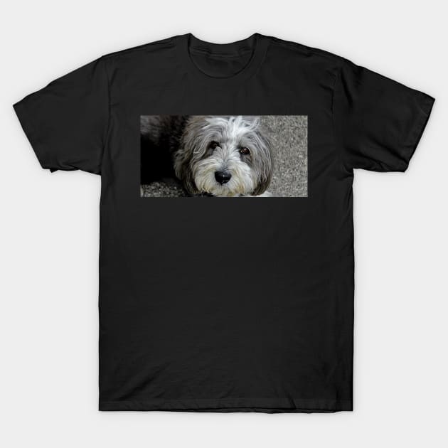 Cassie Bonny Lassie T-Shirt by Ladymoose